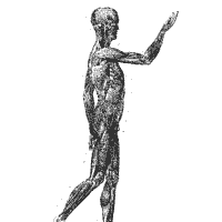 Thumbnail image for Human Anatomy, Right Side