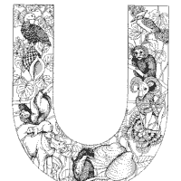 Thumbnail image for Animal and Plant Alphabet, Letter U