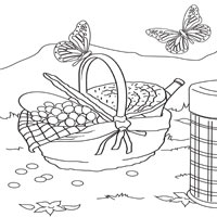 Thumbnail image for Basket and Butterflies
