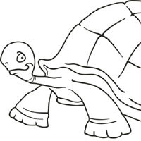 Thumbnail image for Big Tortoise