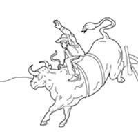 Thumbnail image for Bull Riding
