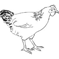 Thumbnail image for Chicken Little