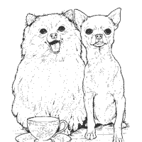 Thumbnail image for Chihuahua and Pomeranian