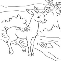Thumbnail image for Deer and Stream