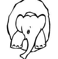 Thumbnail image for Elephant Number Zero