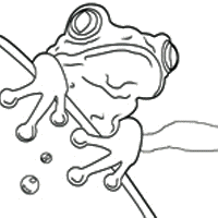 Frog in Water » Coloring Pages » Surfnetkids