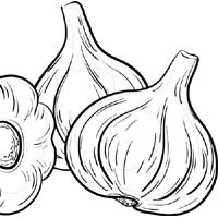 Thumbnail image for Garlic Heads
