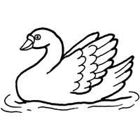 Thumbnail image for Graceful Swan
