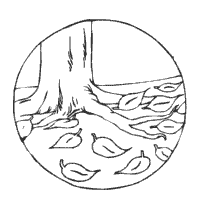 Thumbnail image for Ground Leaves