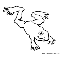 Thumbnail image for Leaping Frog