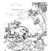 Thumbnail image for Lewis and Clark, Buffalo and Wolf