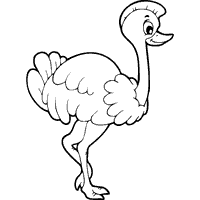 Thumbnail image for Ostrich Mohawk