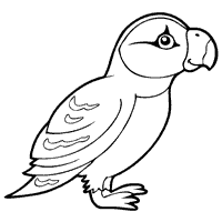 Thumbnail image for Precious Puffin