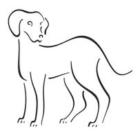 Thumbnail image for Puppy Pictures