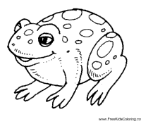 Thumbnail image for Smiling Frog