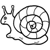 Thumbnail image for Snail Shell