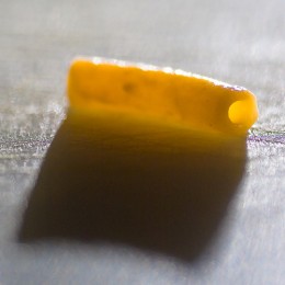 Macaroni Animals for Fun
