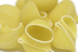 Macaroni Animals by Theme
