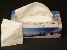 Christmas Tissue Holder