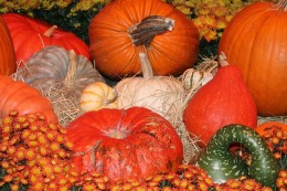 How to Paint Gourds