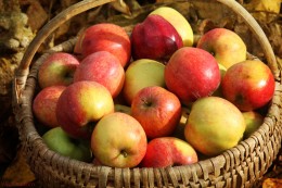 Apple Wreath and Apple Garland