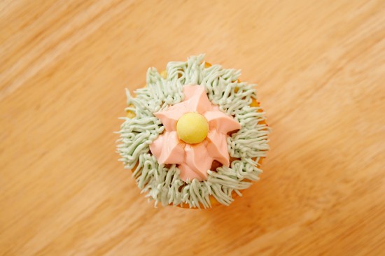Easter Bunny Cupcakes for the Holiday