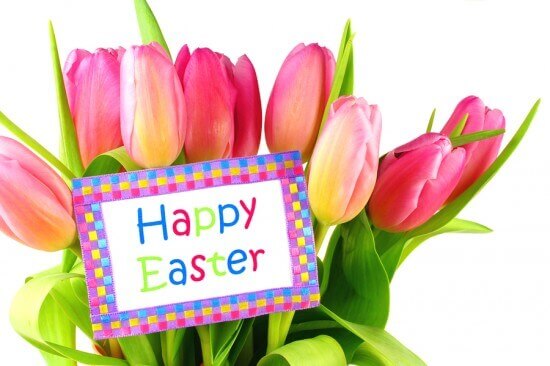 Stories About the Easter Bunny for Fun and Humor