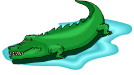 Alligators