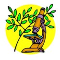 Botany