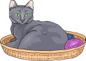 Cat Breeds