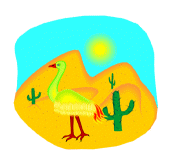 Desert Animals