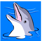 Dolphins
