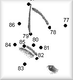 Dot to Dot