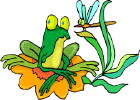 Frogs