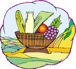 Healthy Food