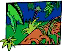 Rainforests