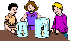 Science Fair Projects