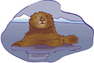 Sea Otters