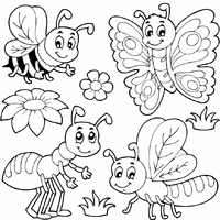 More Bugs and Insects