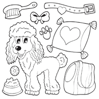 Poodle and Pet Accessories