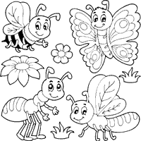 Little Insects