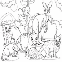 Various Types of Marsupials