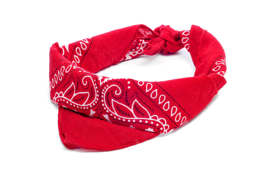 Stamped Bandanna » Early Childhood Education »