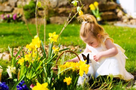 Little Girl on an Easter Egg hunt on a meadow in spring, she has