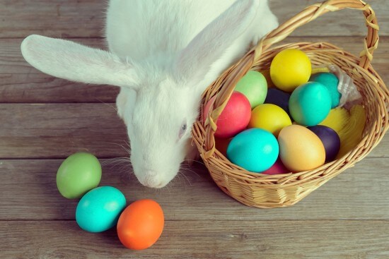 White Easter Bunny With Basket