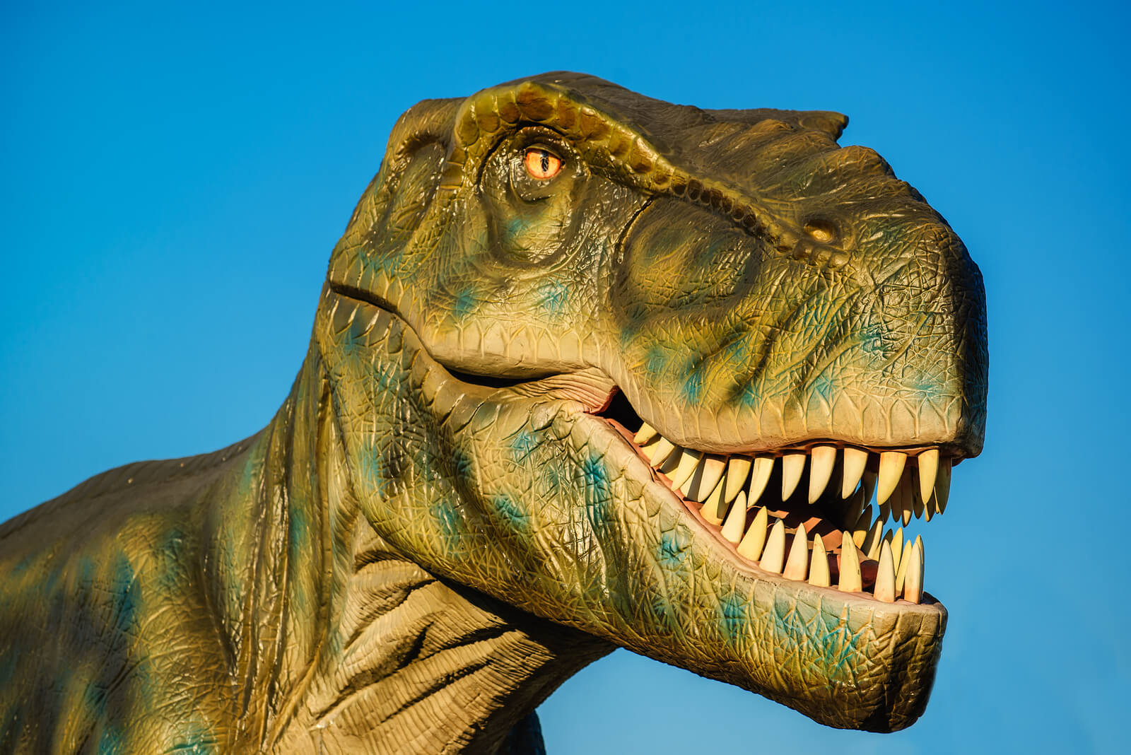 10 Facts About Tyrannosaurus Rex, King of the Dinosaurs