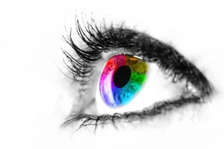 10 Facts about Color Vision