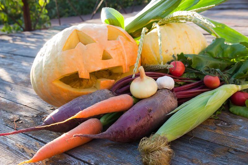 Tips for Growing Great Carving Pumpkins » Halloween ...