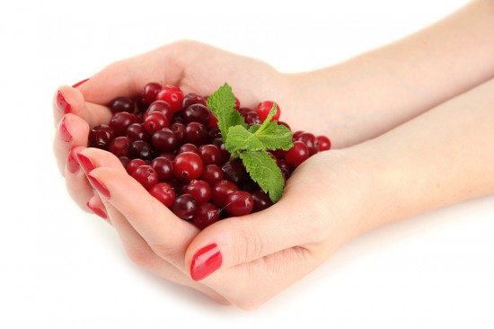 Woman hands holding ripe red cranberries, isolated on white
