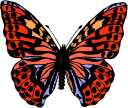 Monarch